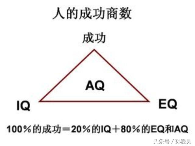 简单版和国际标准版智商测试（看看两者有什么差别？）