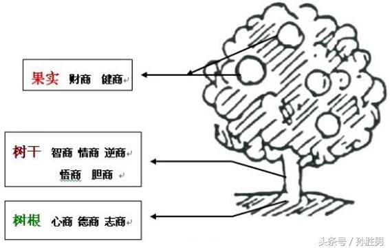 简单版和国际标准版智商测试（看看两者有什么差别？）