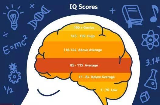 人的智商到底有多高？（国际标准智商测试60题附详细解析报告）