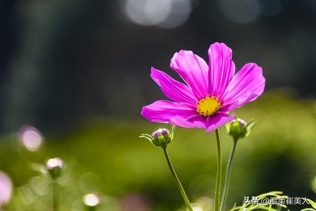 女人允许你触摸她的脸是什么意思？心理学:解读女性的3种肢体语言